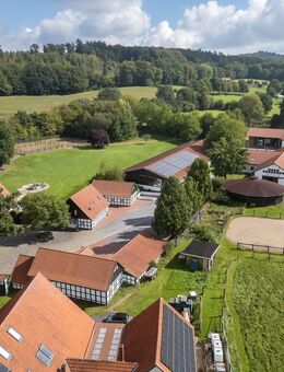 Luxuriöse Profi-Reitsportanlage auf 3,9 ha zu verkaufen - Borgholzhausen