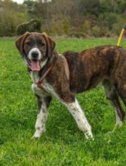 Reia sucht ihre Familie - Berlin