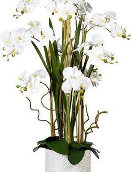 Kunstorchidee Deko-Orchidee Phalaenopsis XXL im Keramiktopf Orchideearrangement, Creativ green, Höhe 160 cm