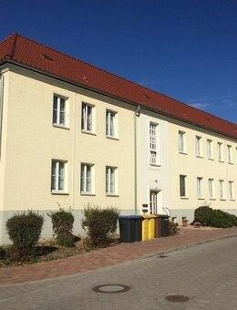 Muldenstein - helle und freundliche 2-Raum-Wohnung - Muldestausee