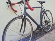 Rennrad sehr hochwertiges Sportgeräte - Oldenburg