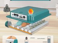 Automatischer Brutautomat für bis zu 24 Eier Mieten / Leihen - Engelskirchen