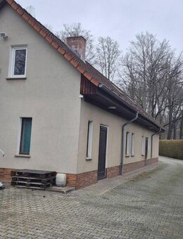 Vielseitiges EFH in Bad Muskau - Bad Muskau