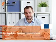 Sachbearbeiter Forderungsmanagement (m/w/d) - Nürnberg