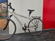 Shogun Metro BC mit Sattelsuspension - Aidlingen