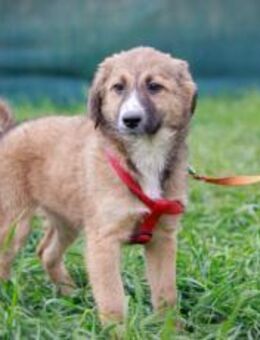 Kiani ist bereit für Abenteuer! - München