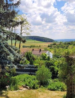 Naturparadies - Hochwertige Immobilie 275 qm Wfl, 1200 qm Grundstück, Ruhige TOP-Ortsrandlage! - Riedlingen