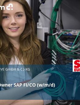 Solution Owner SAP FI/CO (w/m/d) - Bruchsal