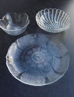 Arcoroc France Glas: 2 Schalen Muschel+Lotusblüte je 3,- 1 Teller Fleur 2,- - Flensburg