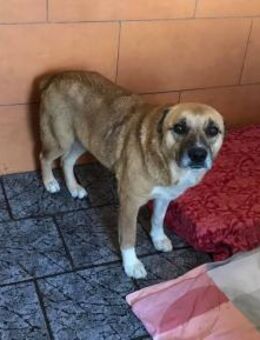 JARO - ich prüfe genau, aber dann ... - Overath