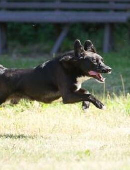 Ghandi möchte endlich ankommen! - München