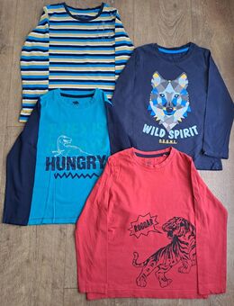 4 Langarmshirts für Jungs Gr.110/116 von Lupilu - Königswinter