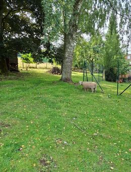 Einfamilienhaus mit großem Grundstück für Zwei- und Vierbeiner in ruhiger Lage! - Hilgert