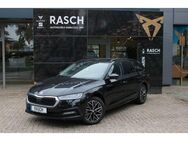 Skoda Octavia COMBI 1.5 TSI e-TEC DSG+ACC+LED+NAVI+SHZ - Cloppenburg