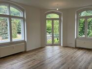 Schöne helle 2-Raum Wohnung im stilvollen Altbau - Freital