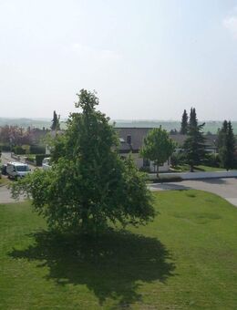 Helle 2-Zimmer-Wohnung mit schönem Ausblick - Eutingen (Gäu)