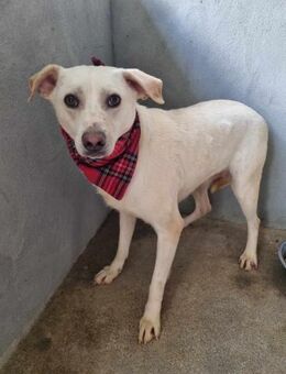 Liebenswerte Bianca - Eichenzell