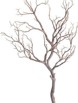 Kunstzweig Deko-Ast Zweig, Botanic-Haus, Höhe 96 cm