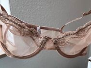 Calvin Klein BH, neu, Größe 34b - 75b - Leverkusen