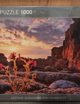 1000 Teile Puzzel "Edition Humboldt" - Leinefelde-Worbis
