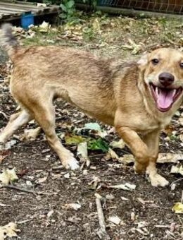 Voller Lebensfreude = verspielte JILL ♥️ - München