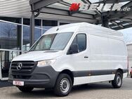 Mercedes-Benz Sprinter 317 L2H2 3665 mm Klima SHZ Kamera AHK R - Dessau-Roßlau