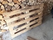 3 Paletten zu verschenken - Celle