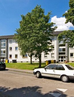 Wir erneuern das Bad und die Elektroanlage - Sie sorgen für Tapeten und Oberböden - Eschweiler
