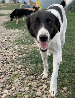 Pixel - das Gegenteil von Klein - Celle