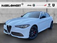 Alfa Romeo Giulia, 2.0 Tributo Italiano Q4, Jahr 2024 - Hasbergen