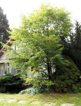 Traumlage für Ihr Business und viel Platz zum Wohnen und Entspannen - Waghäusel