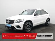 Mercedes GLC 43 AMG, , Jahr 2018 - Würzburg