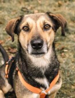 Inoa mit Herz & Köpfchen - Kallmünz