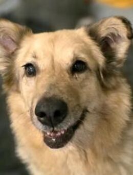 Alicia 💕 wartet sehnsüchtig... - Kallmünz