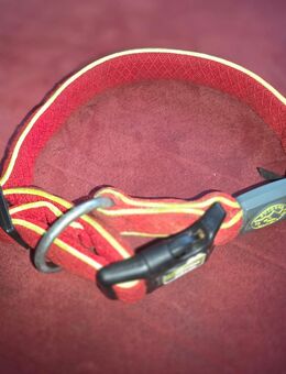 Hunde Halsband von Hunter - Größe M... - Schwaan