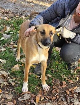 Freundlich klug sozial = GINA ♥️ - München