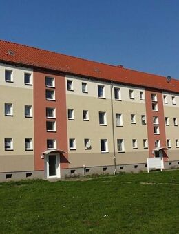 +++ Nachmieter gesucht +++ - Pessin