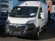 Opel Movano, C Cargo L2H2, Jahr 2024 - Hachenburg