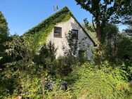 Haus im Dornröschenschlaf mitten in der Stadt Tirschenreuth - Tirschenreuth