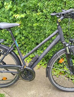 Gepflegtes Trekkingbike Grecos Nevada - Stade (Hansestadt)