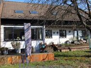 Großzügiges lichtdurchflutetes Zwei-Generationenhaus in schöner Stadtrandlage - Homburg