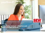 Teamleiter Einkauf - Projekte und Innovationen (w/m/d) - Bruchsal