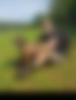 Flo*** - Windelsbach