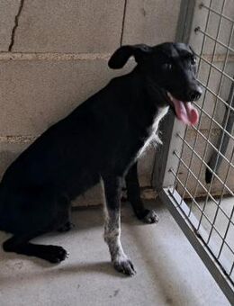 Flor möchte erblühen mit Liebe - Berlin