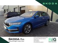 Skoda Octavia, 2.0 TDI Combi Selection, Jahr 2024 - Hameln