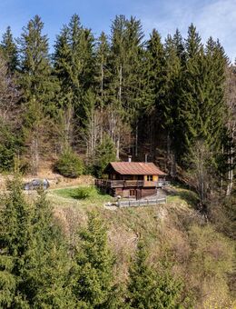 Berghütte mit 3 ha Wald im Naturschutzgebiet Adelegg - Ruhe und Natur pur mit herrlicher Alpensicht - Isny (Allgäu) Zentrum
