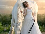 Suche Pferd für Hochzeitsshooting, Nähe 72574 Bad Urach – Seeburg - Bad Urach Zentrum