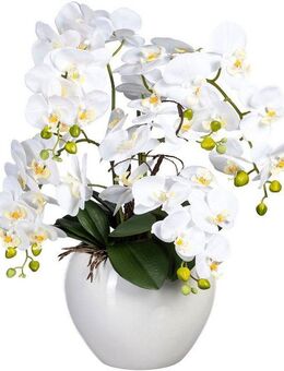 Kunstorchidee Phalaenopsis im Keramiktopf Orchidee Phalaenopsis, Creativ green, Höhe 56 cm
