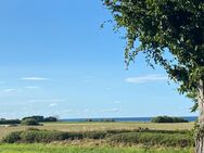 Nordisches Wochenendhaus an der Ostsee mit Meerblick & 1 Hektar Wiese vor dem Haus - Hohenfelde (Landkreis Plön)