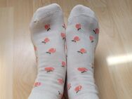 Damensocken Gr.35-38 gut für Abenteuer - Lübeck